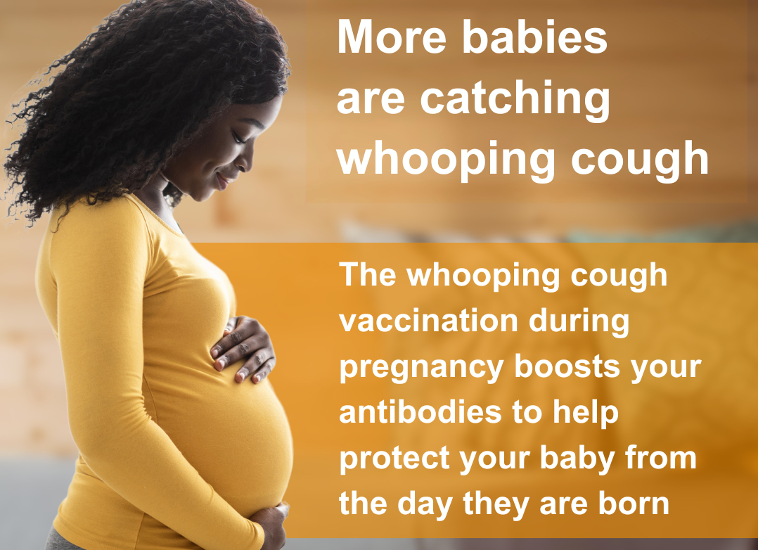 More babies are catching whooping cough, Full text below